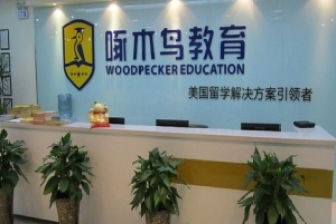 注册教育咨询公司 需要满足哪些条件和步骤？指南与解析