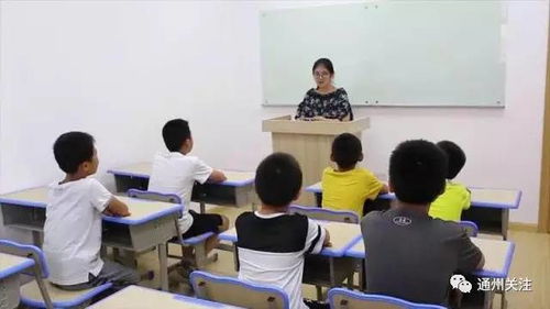 定律教育新学期招生 精品晚班与周末兴趣班火热报名中